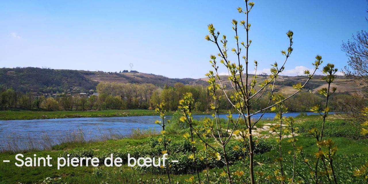 Comme A La Maison Clonas-sur-Vareze Bagian luar foto